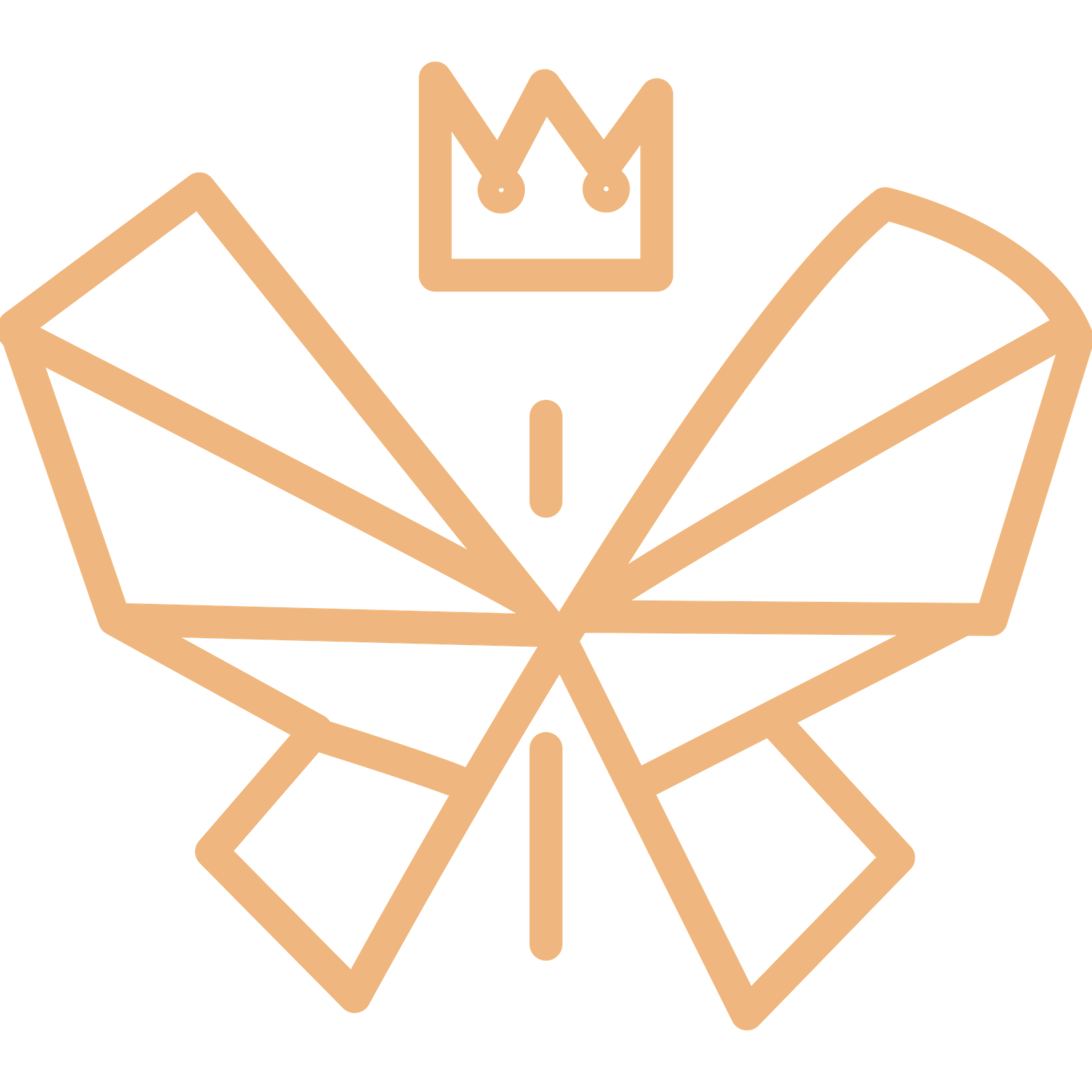 XOCAO